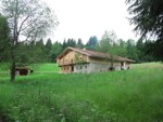 Vorschaufoto Schimmelbach