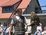 Vorschaubild Quedlinburg/Burg Falkenstein